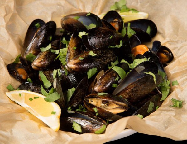 Mussels in cream sauce